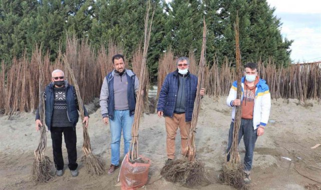 Büyükşehirin yüzde 50 hibeli fidan dağıtımı başladı