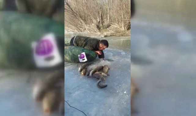 Buz altından elle balık çıkarıyor