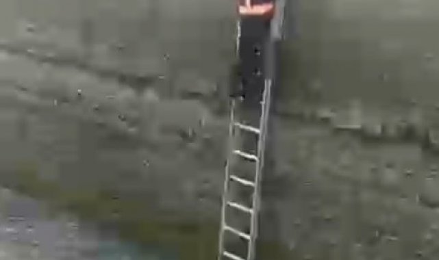 Buz gibi suda donmak üzere olan yavru köpeği itfaiye kurtardı