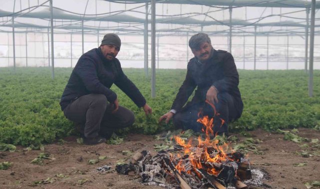 Buz tutan ürünleri için serasında ateş yaktı