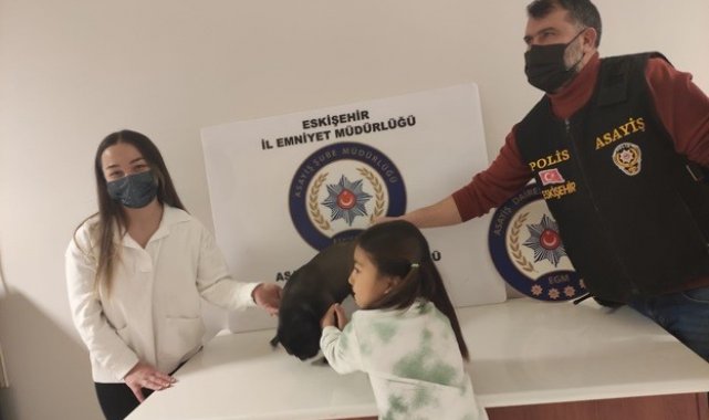 Çalınan cins köpek bulunarak sahibine teslim edildi