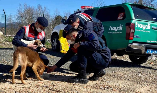 Can dostlara Jandarma şefkati