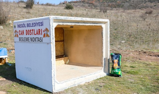 Can dostları için yeni beslenme noktaları oluşturuluyor