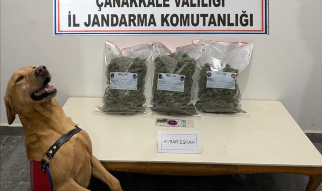 Çanakkale'de uyuşturucu operasyonu: 2 gözaltı