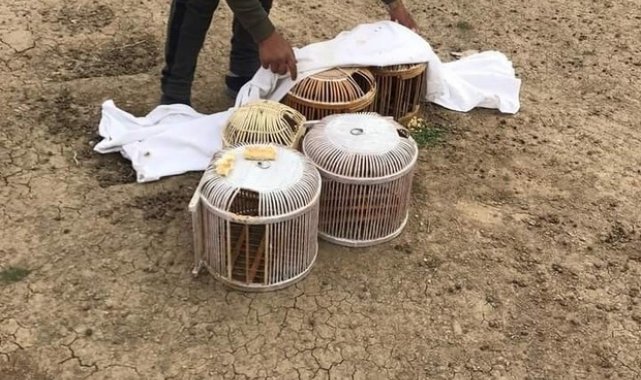 Canlı mühre ile keklik avlayan 3 kişiye 8 bin 67 TL ceza