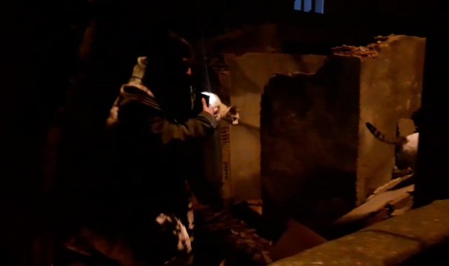 Çatı katında sıkışan kediyi itfaiye ekipleri kurtardı