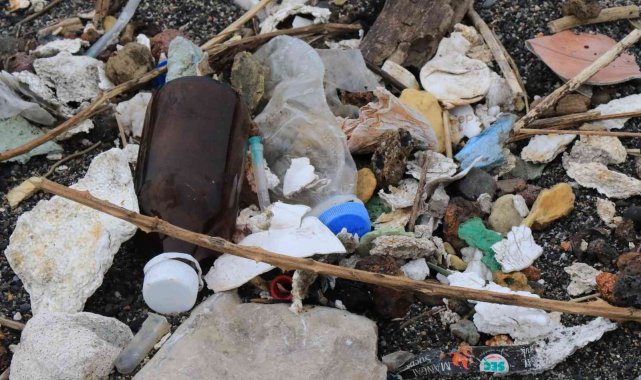 Çevre felaketinin ortasında piknik yaptılar