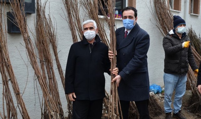 Çiftçilere 3 bin 350 adet cennet hurması ve incir fidanı ücretsiz dağıtıldı