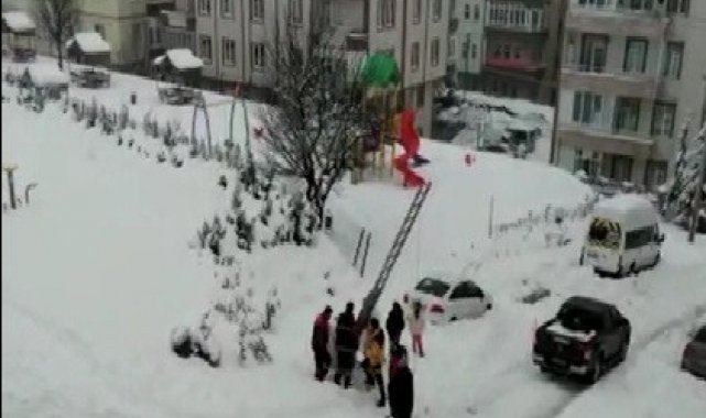 Çöp konteynerine düşen kedi kurtarıldı