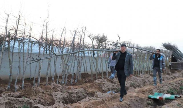 Daha yeşil bir Alaşehir için çalışıyorlar