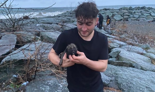 Deniz kenarındaki kayalıklarda doğuran köpek ve yavruları için vatandaşlar seferber oldu