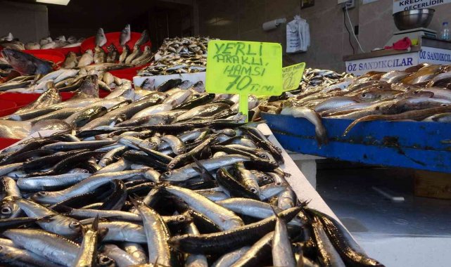 Denizden az çıkınca hamsinin fiyatı yükseldi