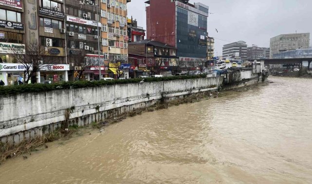 Derenin rengi sarıya döndü