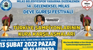 Deve Güreşi Festivali Yarın !