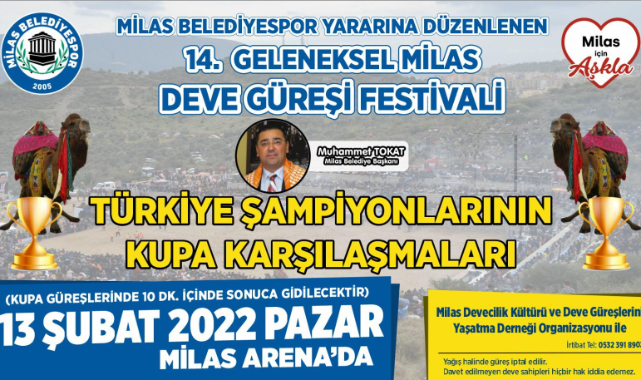 Deve Güreşi Festivali Yarın !