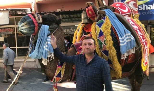 Deve güreşi için hazırlıklar tamamlandı