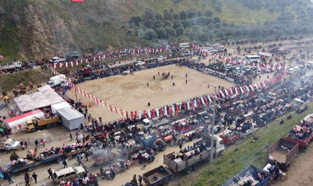 Deve Güreşi tutkunları Kuyucak'ta buluştu