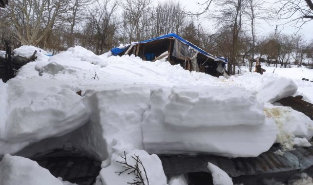Devrek'te ağıl çöktü: 7 hayvan telef oldu