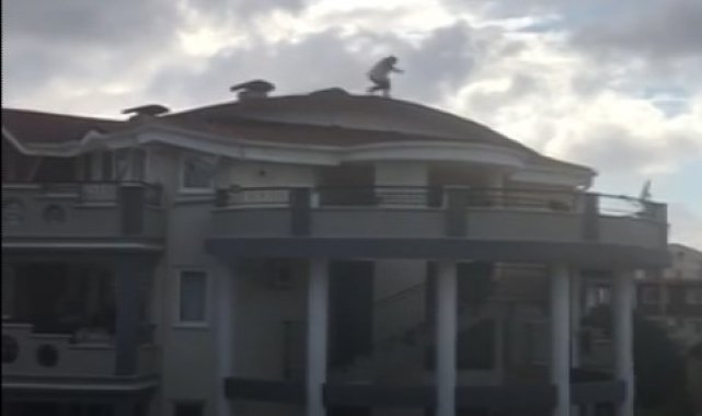 Didim'de filmleri aratmayan operasyon