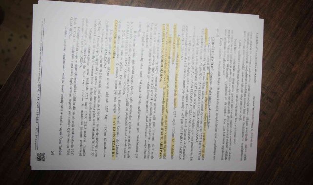 Doktora tehditleri ile korku dolu anlar yaşatan şahsa 9 ay hapis ve 12 bin 750 lira para cezası