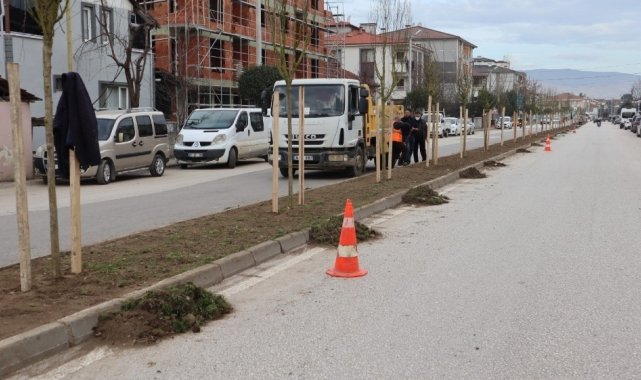 Düzce Belediyesi bin 920 ağaç dikimi yaptı