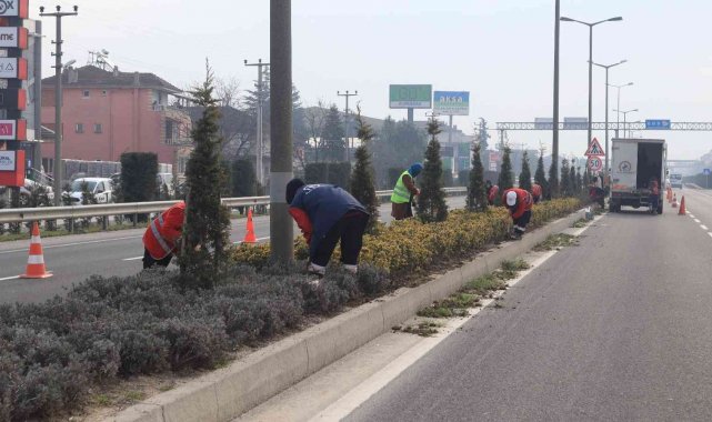 Düzce&#039;de bitkiler bahara hazırlanıyor