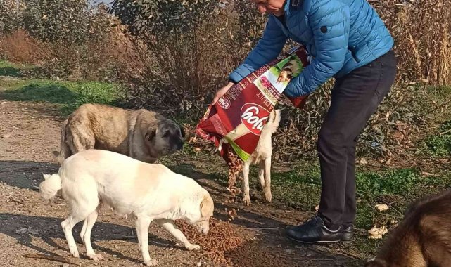 Efeler İlçe Tarım ve Orman Müdürlüğü ekipleri sokak hayvanlarını unutmadı