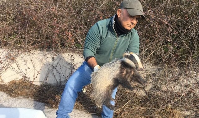 EKODOSD, yaban hayvanları için rapor hazırlayacak