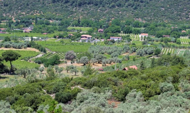 EKODOSD&#039;tan Kirazlı için çağrı