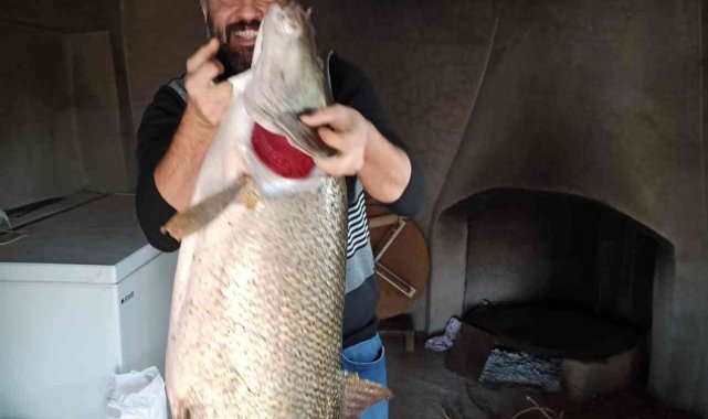 Elazığ'da balıkçılar ağa takılan dev turnalar karşısında şaşkına döndü