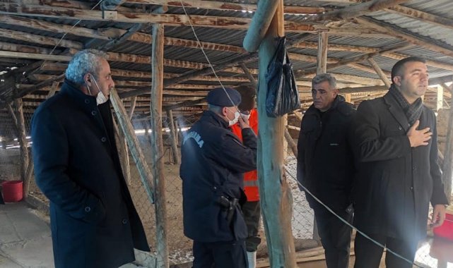 Elazığ&#039;da evin çatısı biriken kar nedeniyle çöktü