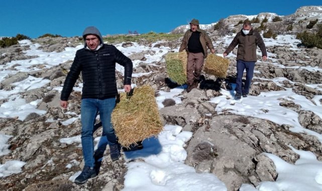 Elazığ'da yaban hayatı için doğaya tonlarca yem bırakıldı