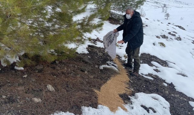 Elazığ&#039;da yaban hayvanları için doğaya yem bırakıldı