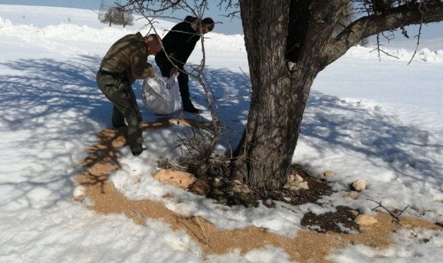 Elazığ&#039;da yemleme çalışmaları sürüyor