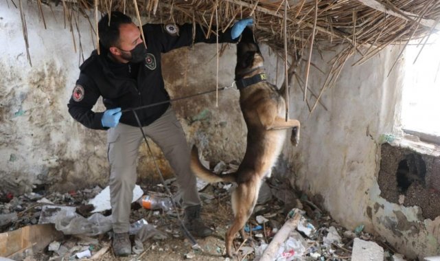 Emniyetin huzur denetiminde 6 aranan şahıs yakalandı