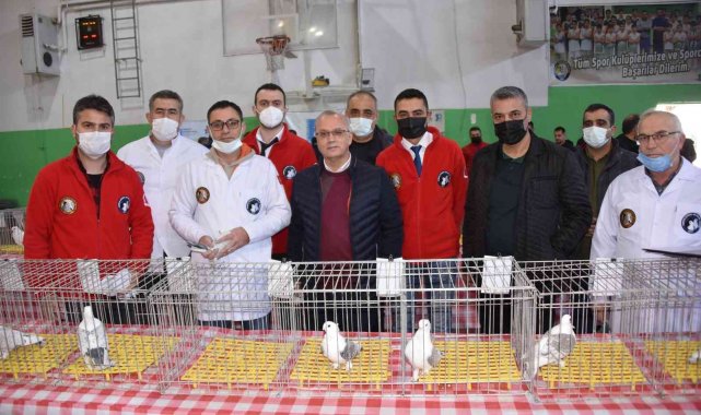 En güzel Hünkari güvercinler Salihli&#039;de yarıştı