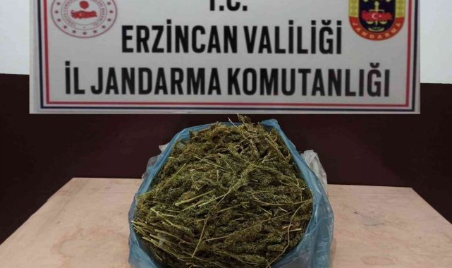 Erzincan'da 2 kilo 848 gram kubar esrar ele geçirildi