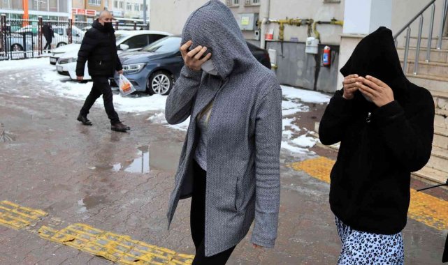 Ev ve iş yeri fareleri yakalandı