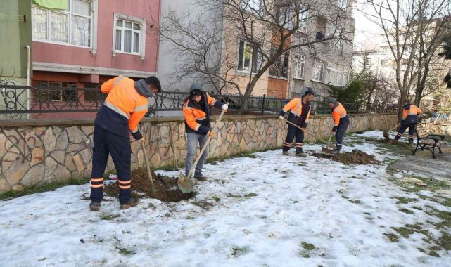 Eyüpsultan'da ağaç dikimi devam ediyor