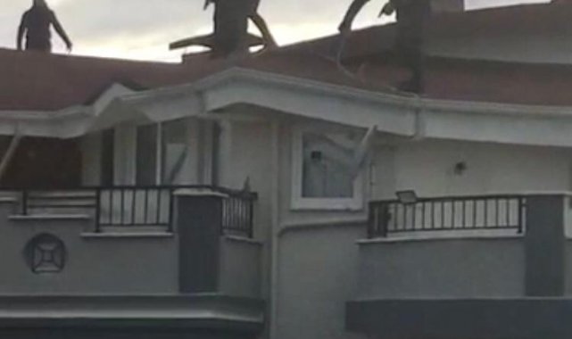 Filmleri aratmayan operasyondaki şüpheliler tutuklandı