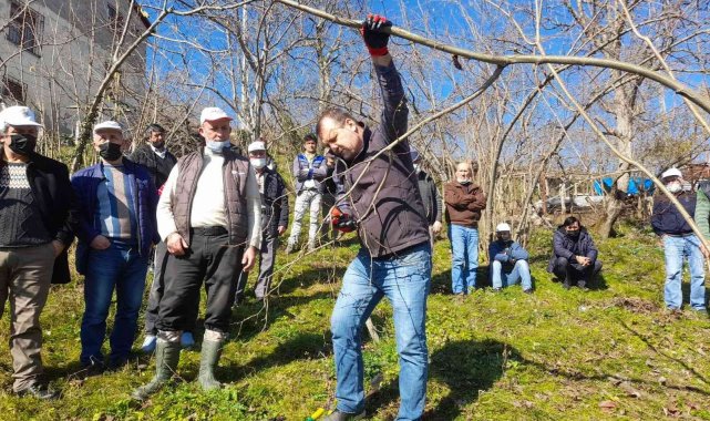 Fındık üreticisine budama ve gübrelere eğitimi veriliyor
