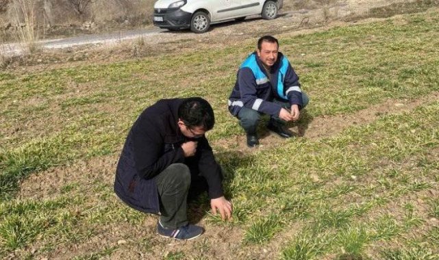 Gediz'de hububat çıkış kontrolleri