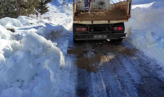 Gelesandra yolunda tuzlama çalışması