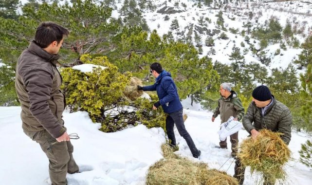 Gölbaşı'daki yaban hayvanlarına yem bırakıldı
