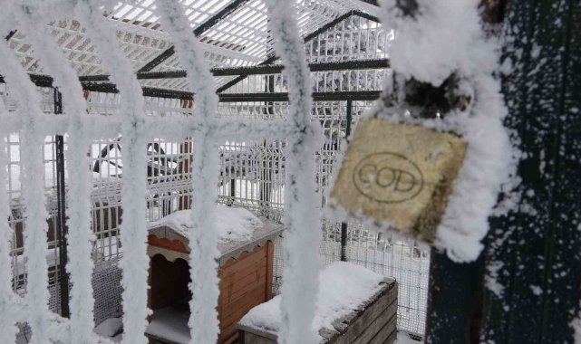 Göle eksi 22,1 derece