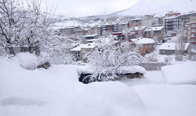 Hakkari'de 239 yerleşim yerinin yolu kapandı