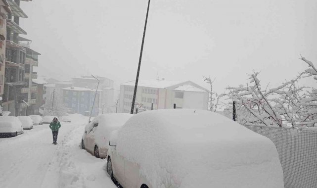 Hakkari'de 325 yerleşim yerinin yolu kapandı