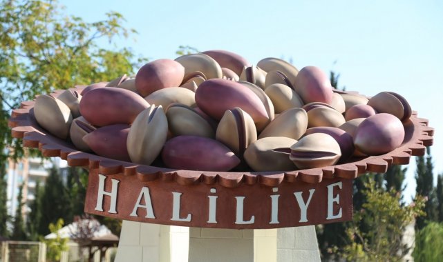 Haliliye&#039;nin nufüsu 31 ili geride bıraktı