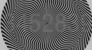 Hangi Rakamları Görüyorsunuz ? 528 Görenler Dikkat !!!