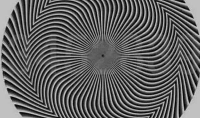 Hangi Rakamları Görüyorsunuz ? 528 Görenler Dikkat !!!